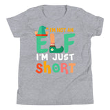 3 - I'm not an elf I'm just short - Youth Short Sleeve T-Shirt