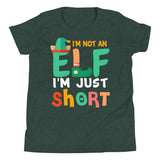 3 - I'm not an elf I'm just short - Youth Short Sleeve T-Shirt