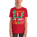 3 - I'm not an elf I'm just short - Youth Short Sleeve T-Shirt