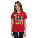 3 - I'm not an elf I'm just short - Youth Short Sleeve T-Shirt