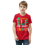 3 - I'm not an elf I'm just short - Youth Short Sleeve T-Shirt