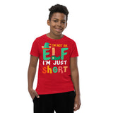 3 - I'm not an elf I'm just short - Youth Short Sleeve T-Shirt