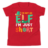 3 - I'm not an elf I'm just short - Youth Short Sleeve T-Shirt